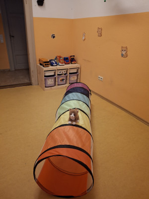 Unser Tunnel